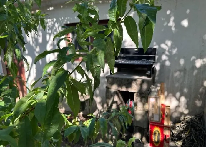 Petite Maison Et Son Jardinet * Angers